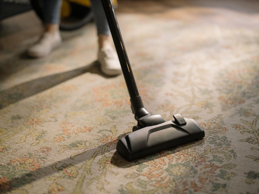 A woman engaged in surface cleaning with a yellow vacuum cleaner in a living room. She is wearing a beige jacket, dark pants, and white sneakers. The room features a patterned, beige and pastel floral rug on a light wooden floor, with a red leather sofa visible at the edge. The lighting is natural and bright, highlighting the clean, dust-free surface of the rug. This scene illustrates professional domestic cleaning services provided by Bayswater Carpet Cleaning, emphasizing deep cleaning and sanitization of residential carpets and floors.